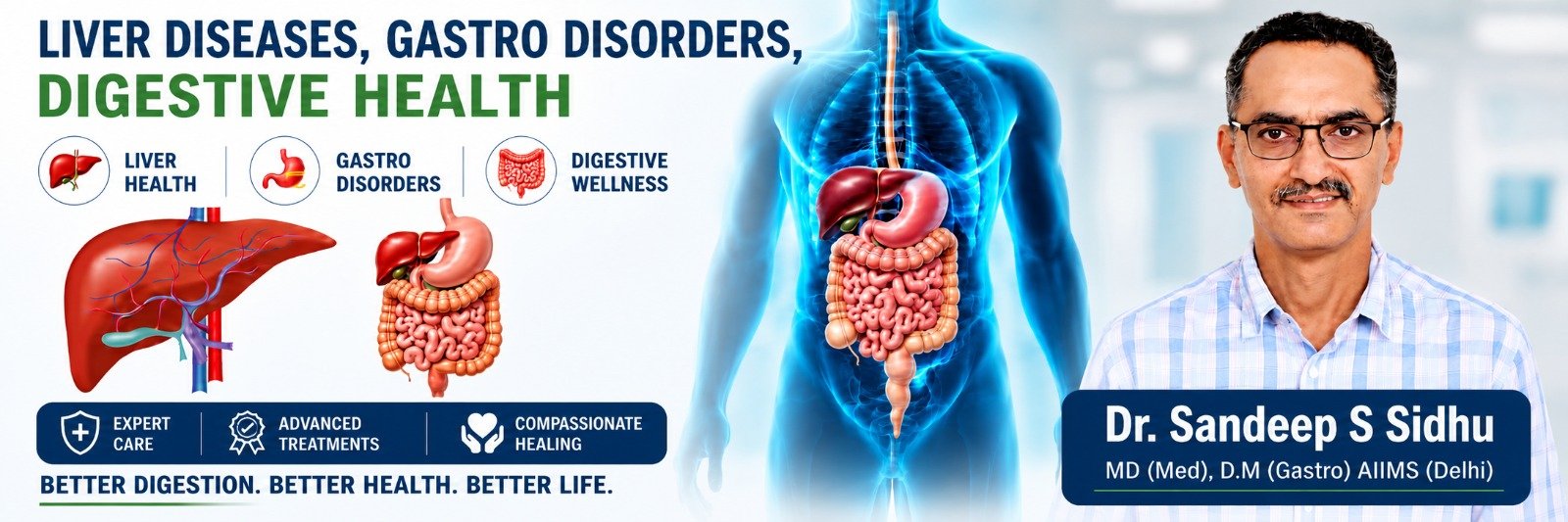 Liver Diseases Gastro Disorders and Digestive Health banner